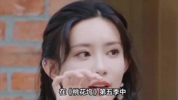孟子义采访不看提纲追求真实，桃花坞展现钝感力社交