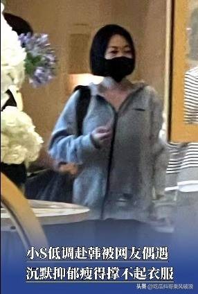 许韶恩中英文介绍画作，小S欲凭母贵，网友：这些外星人能行？