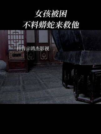 单身女孩的日常，精彩剧集推荐