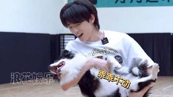 这下我们蛋真的被做局了