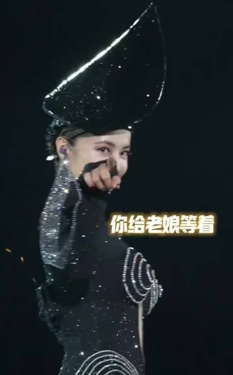 蔡依林演出互动引粉丝激动喊话