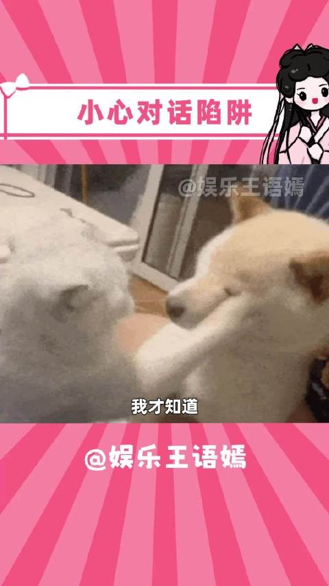 还以为跟她挺能聊的来呢