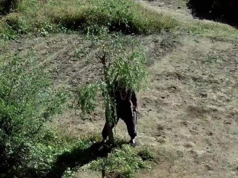 吸铁石仅凭一颗柳树，竟干掉鬼子骑兵连队 战争