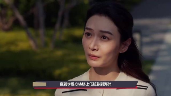 《以法之名》李砚心程子健里应外合转移上亿赃款