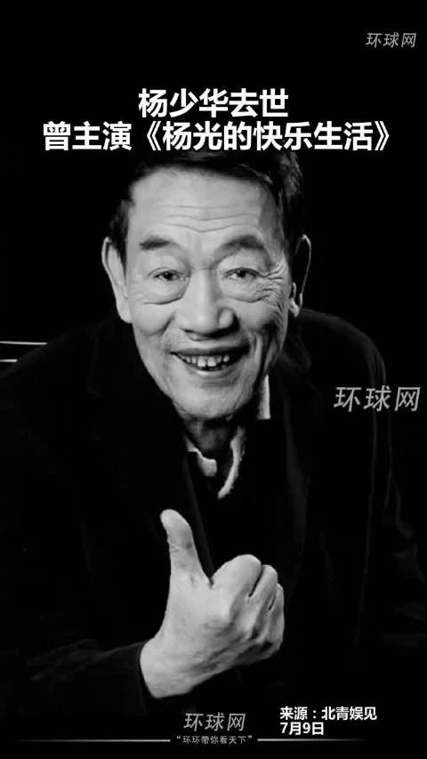 杨少华去世