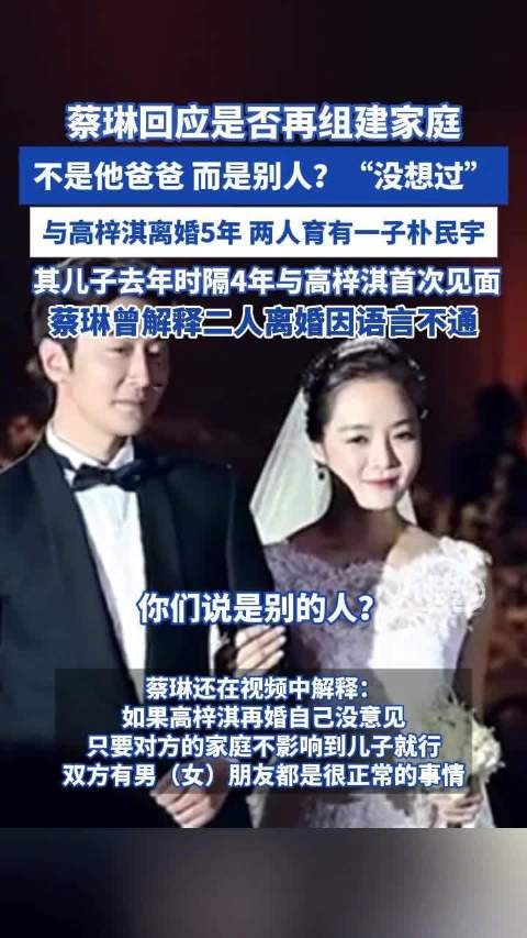 蔡琳回应是否再组建家庭