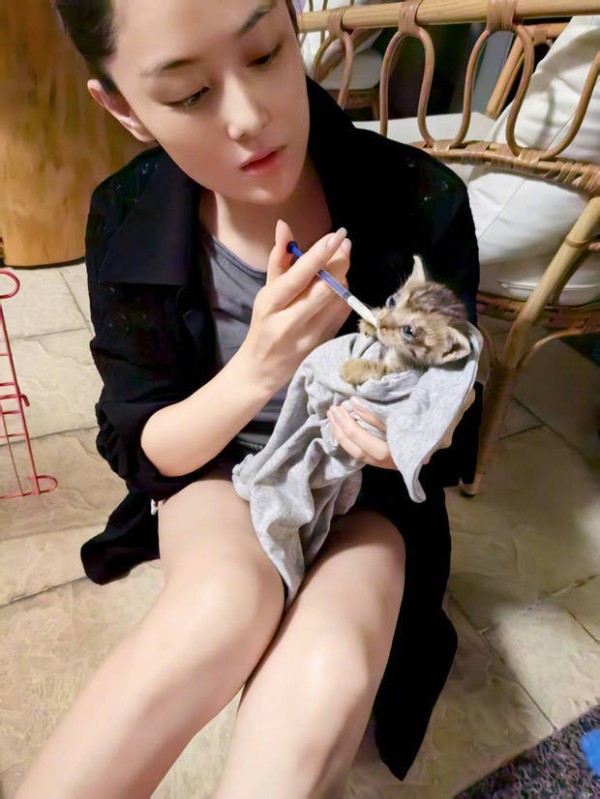 张馨予给小猫咪喂奶。