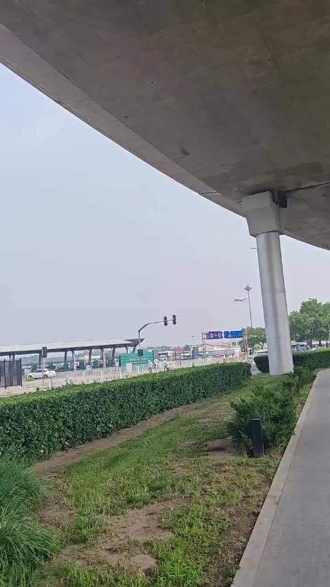 陈楚生北京机场接机反问粉丝金句频出