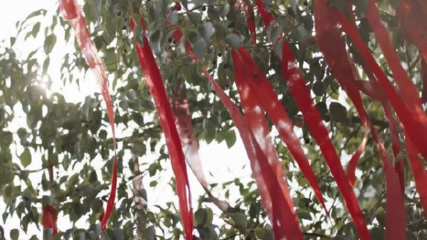 杨紫李现《锦绣芳华》热播,千年之约引期待
