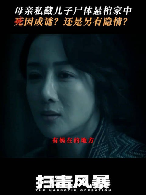 《扫毒风暴》母亲客厅停尸五个月剧情引热议