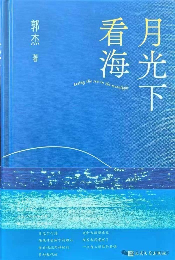 淡雅的意趣与真诚的持守——评郭杰新诗集《月光下看海》|书评