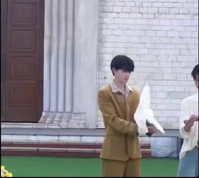 男爱豆在音综录制中被鸽子频繁打脸