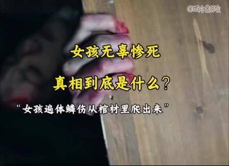 好剧推荐 朱雀堂