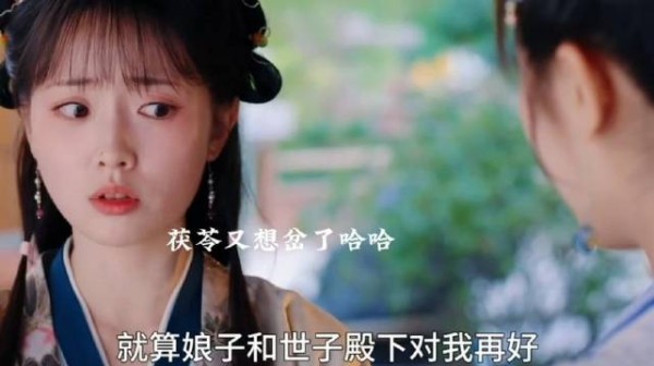 茯苓太可爱了,误以为秦宛要嫁燕迟了哈哈哈哈哈还以为她自己也要陪嫁了