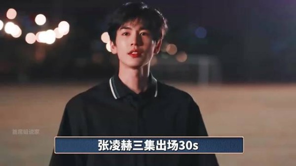 张凌赫出场仅仅30s，却挨最多的骂，他到底做错了什么？