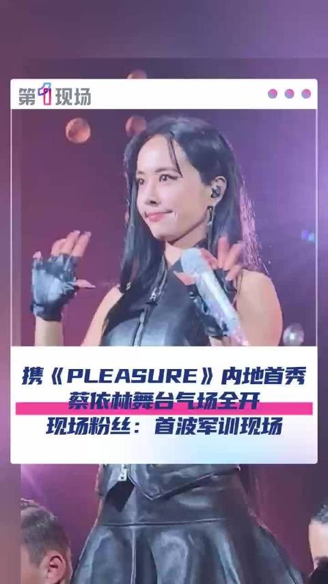 蔡依林新专辑pleasure