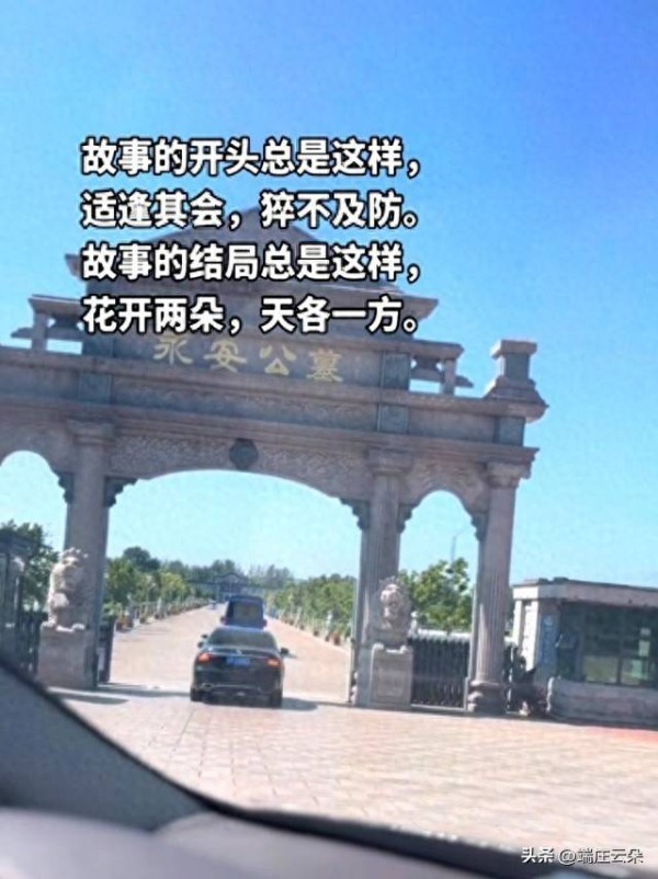 杨少华与妻同葬，墓前摆满华子和茅台，丽姐来送别，杨仪情况良好