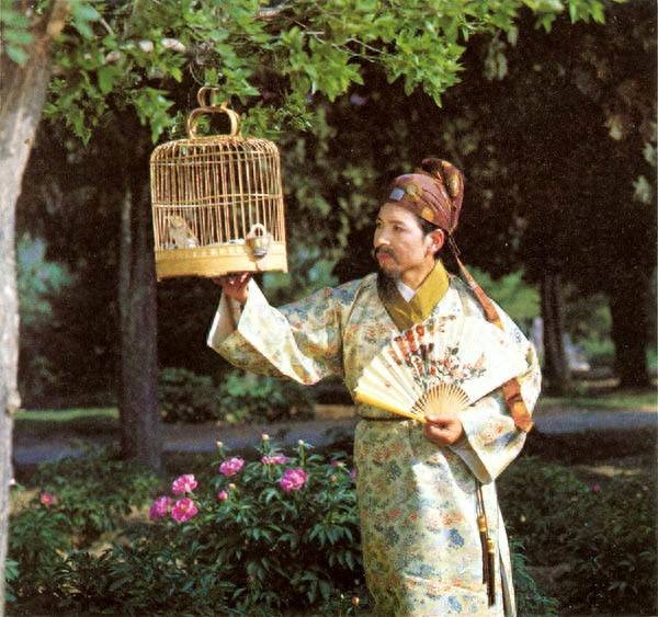 红楼梦：贾蓉和贾环为何要扯掉贾府的遮羞布？