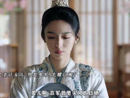 锦月如歌女主归来却被兄长夺功,家族背弃,重生后誓为自己而战!