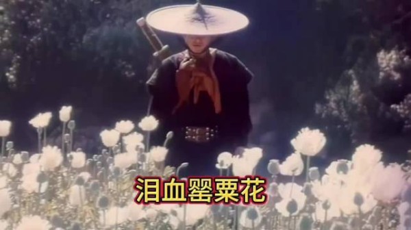 1993年电影《泪血罂粟花》主演赵阳蒋洪波息影前作品