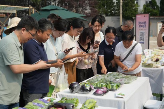 市民正在市集上通过扫描“JN码”了解蔬菜信息。新华社发