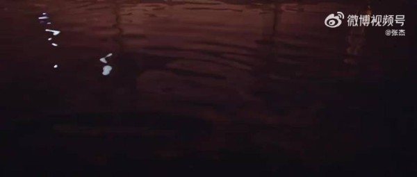 张杰出道21周年发布国风MV《树呢》致敬初心