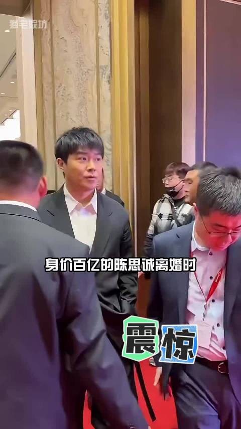 明明身价百亿，为何陈思诚放弃儿子的抚养权？真相曝光才知是父爱的另一种守护