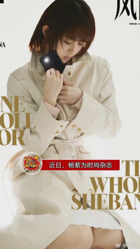 杨紫杂志照被指抄袭王菲封面,摄影师否认