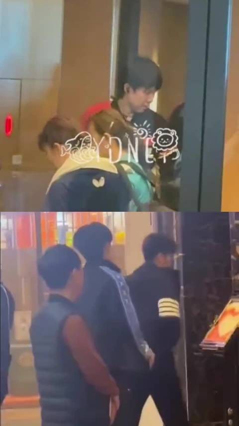 自己人和别人不一样,楚钦在忘本赛道无人能敌 王楚钦 孙颖莎