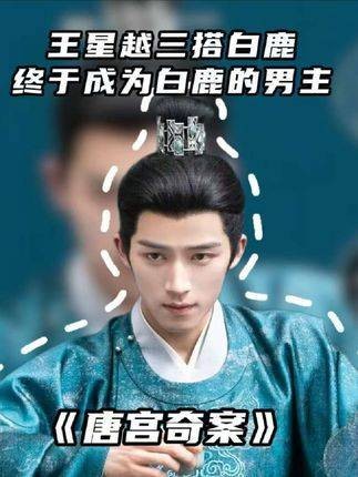 王星月首任男主搭档白鹿出演悬疑剧唐宫奇案