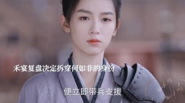 禾宴欲揭何如非身份，徐相警告，楚昭识破婿娉婷再出手