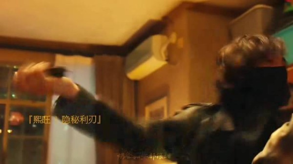 真的被《捕风追影》的打戏爽到，拳拳到肉的真实感太顶了，这才是动作片！