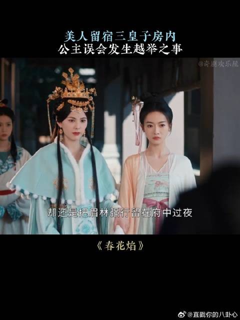 美人留宿三皇子房内，公主误会发生越举之事