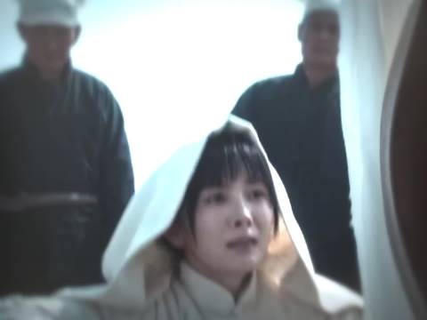 杨幂主演《生万物》首日播放量登顶