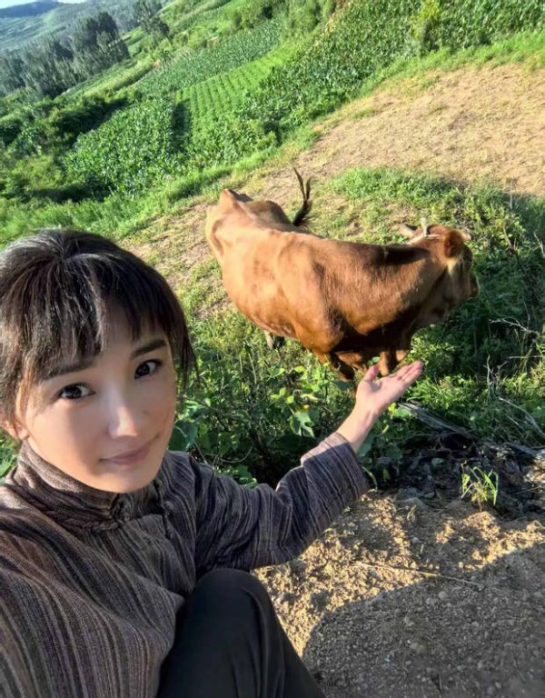 杨幂与牛合影，秒变放牛少女！