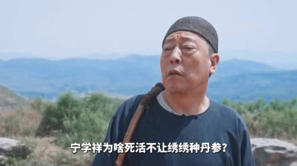 杨幂《生万物》绣绣流产戏引共鸣，母爱无声震撼观众