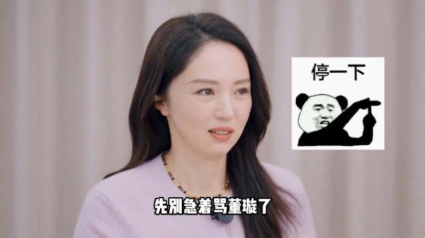 董璇母亲言论引争议，张维伊催生二胎背后现代际观念冲突