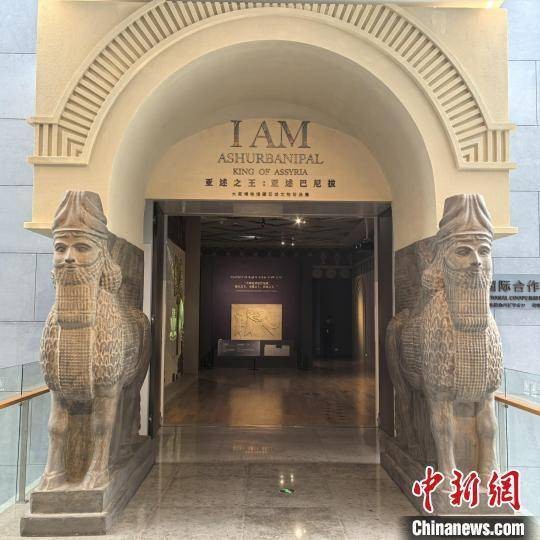 苏州博物馆新动作：当园林遇见莫奈，这场暑期特展要火