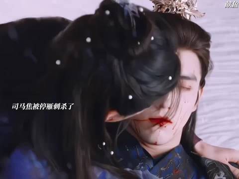 停雁无意间刺杀了司马焦，可师祖临死前还在安慰我们雁子
