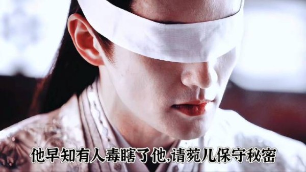 菀儿为泽哥哥治眼疾,发现他是被毒瞎,但他请菀儿守秘密
