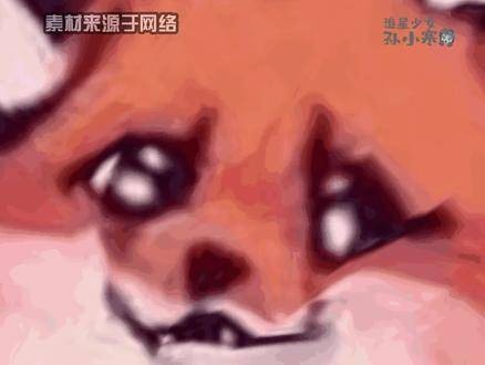 长相思剧组空降好六街弥补遗憾