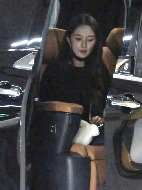 杨幂生万物庆功宴下班路透,简简单单的装造好有松弛感!这个绣绣好美!