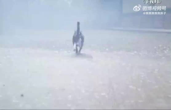 《子夜归》大结局揭晓,武祯怀孕引发热议
