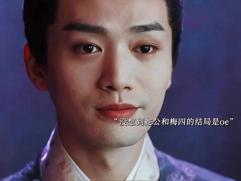 子夜归大结局揭晓，蛇公梅四oe武祯梅逐雨he