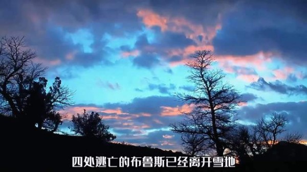 男人为了防止赏金猎人追上来奋不顾身的向前走电影正当夏电影推荐影视片段
