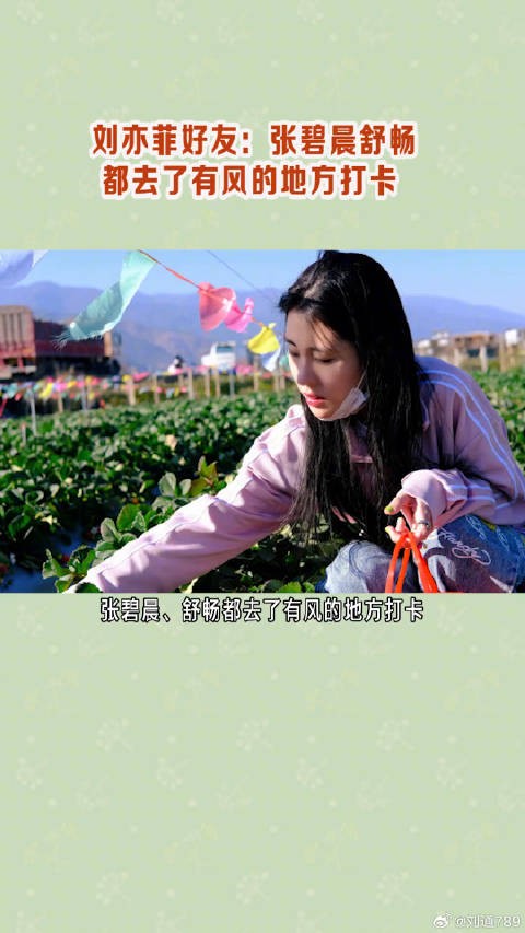 为了闺蜜刘亦菲,张碧晨、舒畅都去了有风的地方打卡