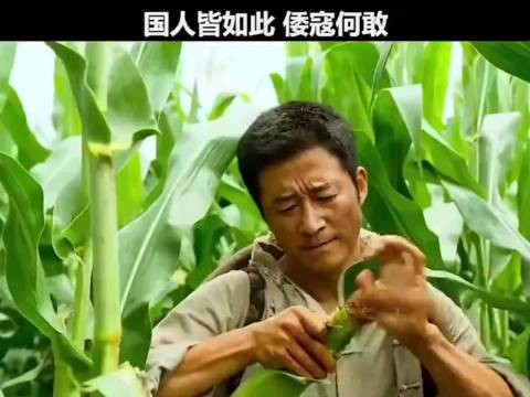国人皆如此倭寇岂敢