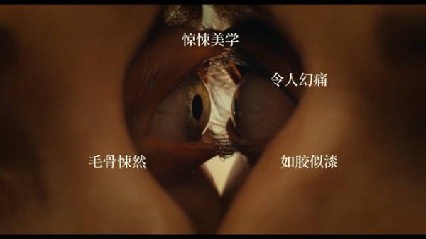 恐怖片同甘共苦定档9月19日，情侣肉体融合引恐惧