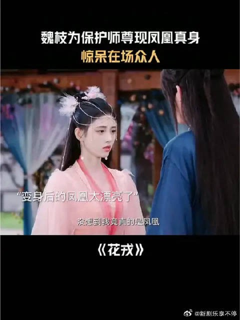 魏枝根本不需要保护好吧！
