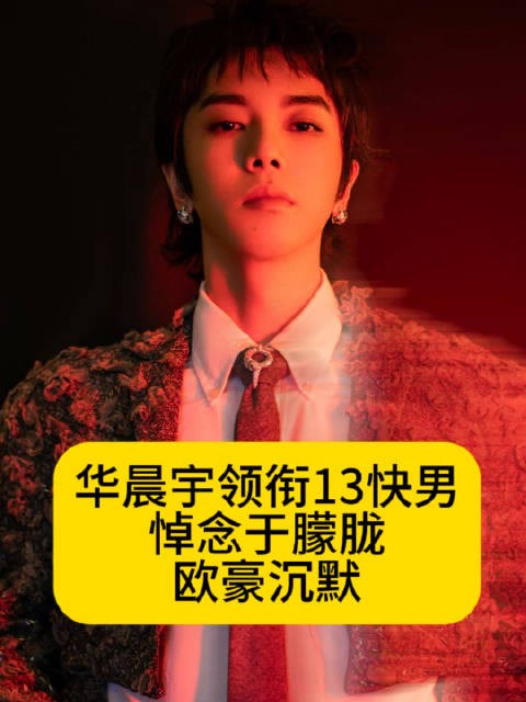 华晨宇领衔13快男悼念于朦胧，欧豪沉默
